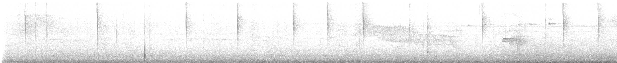 kolibřík tmavoprsý - ML647064021