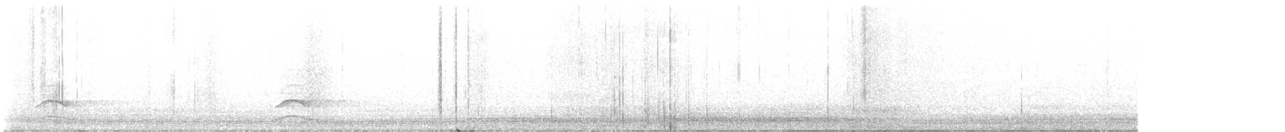 sýček obecný [skupina noctua] - ML647064114