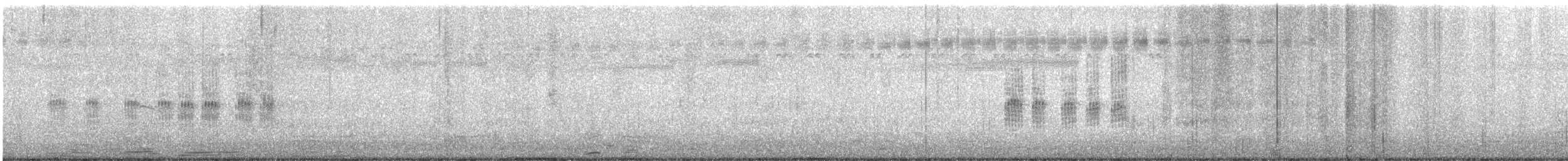 lejsek sibiřský - ML647064143