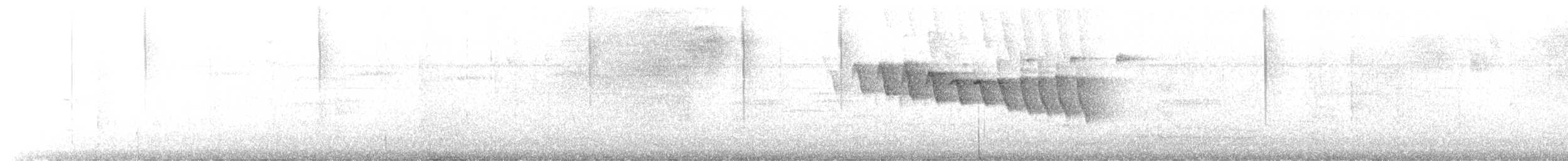 Adelaide's Warbler - ML647064175