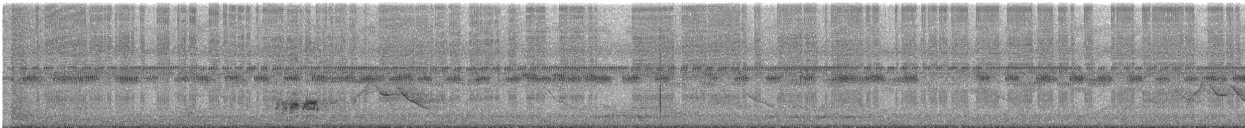 White-eared Sibia - ML647064180