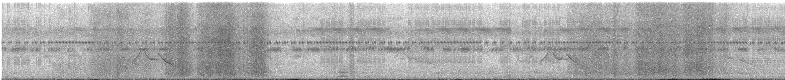 White-eared Sibia - ML647064181