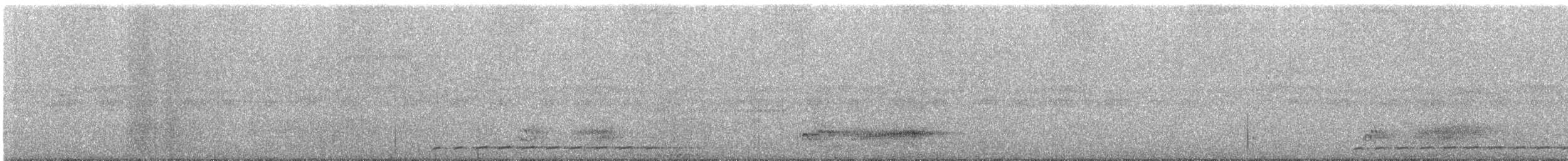 kur tchajwanský - ML647064192