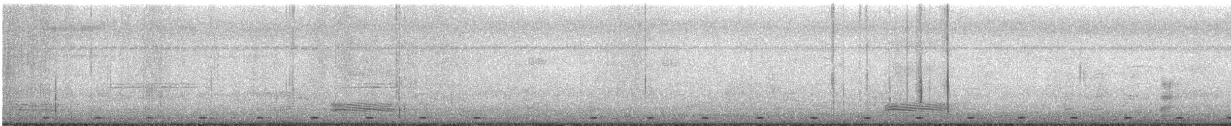 barbet zvučnohlasý - ML647064308