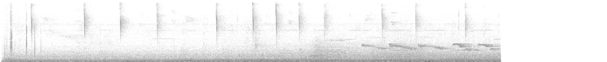 kolibřík tmavoprsý - ML647064364