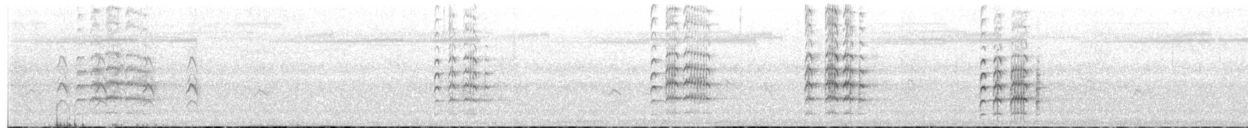 čejka australská - ML647064463