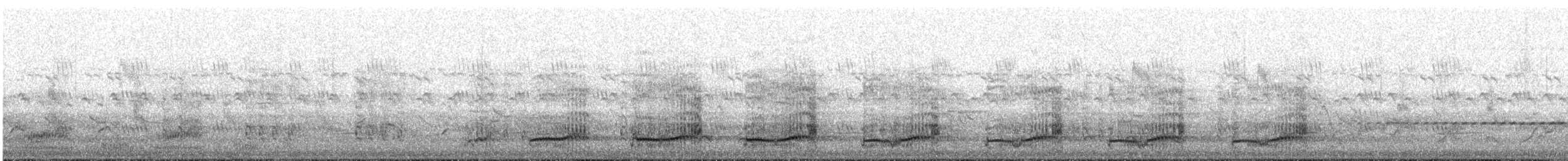 Red-necked Spurfowl - ML647064615