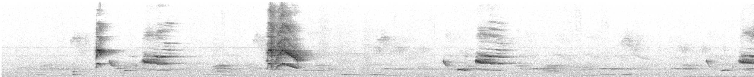 Greater Racket-tailed Drongo - ML647064888