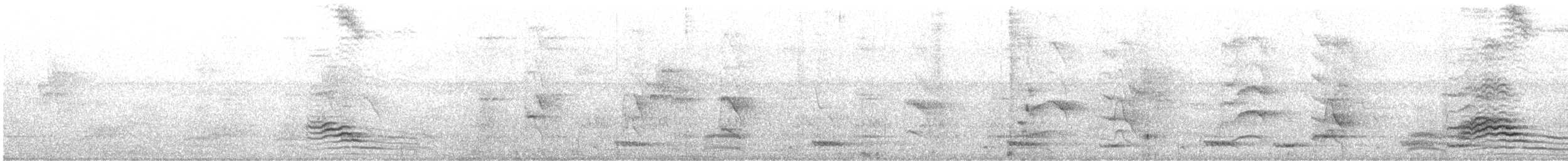 Greater Racket-tailed Drongo - ML647064943