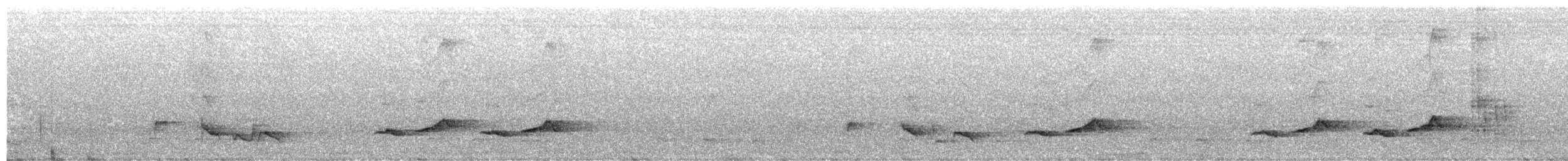 Двухцветный рыжехвост - ML647065120