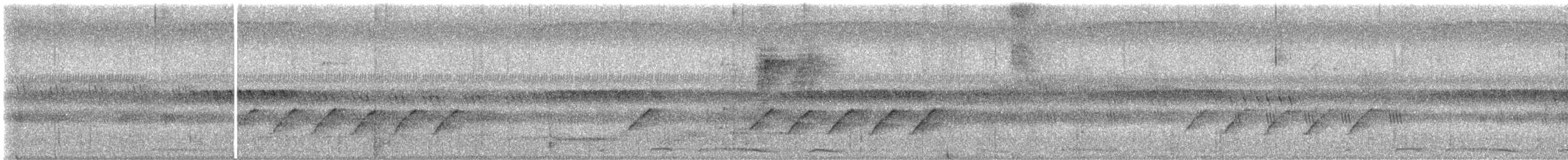 Black-naped Monarch - ML647065272