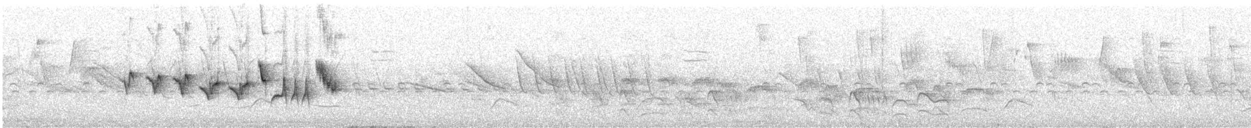 Paruline voilée - ML647065413