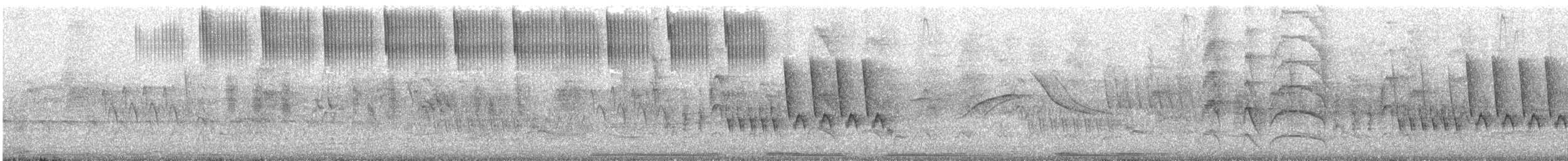 Gilded Hummingbird - ML647065480