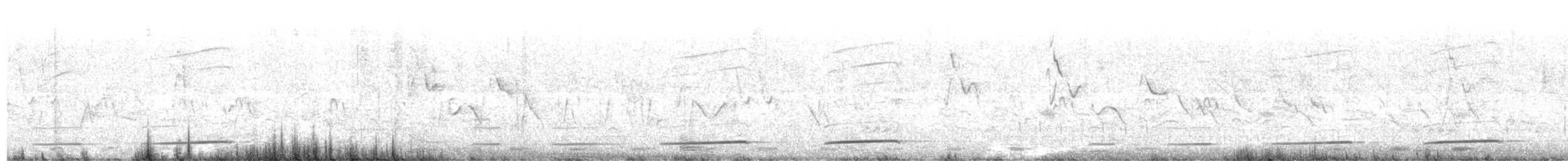 Coucou criard (clamosus) - ML647065488