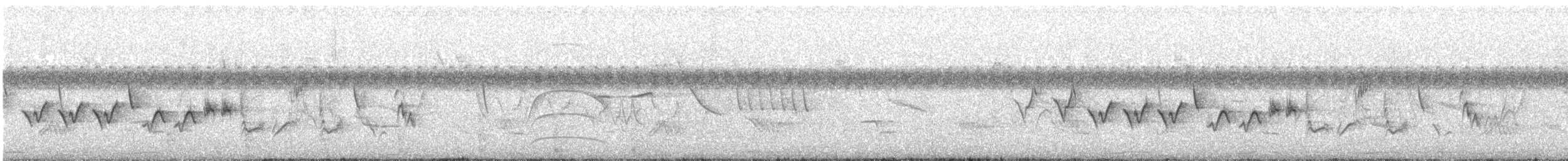 Paruline voilée - ML647065496