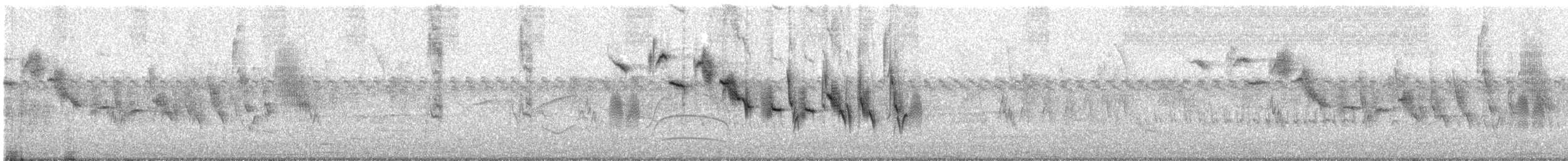 Double-collared Seedeater - ML647065703