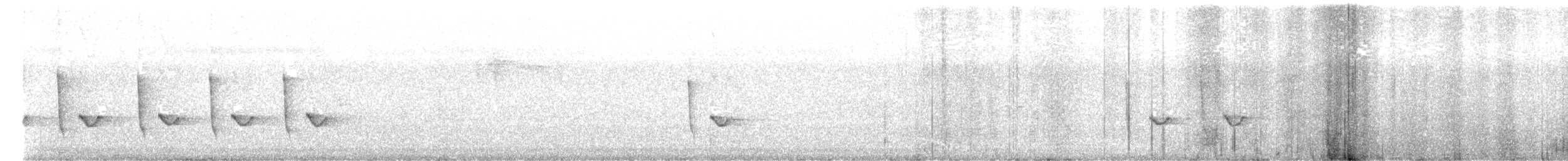 Couturière à longue queue - ML647066034