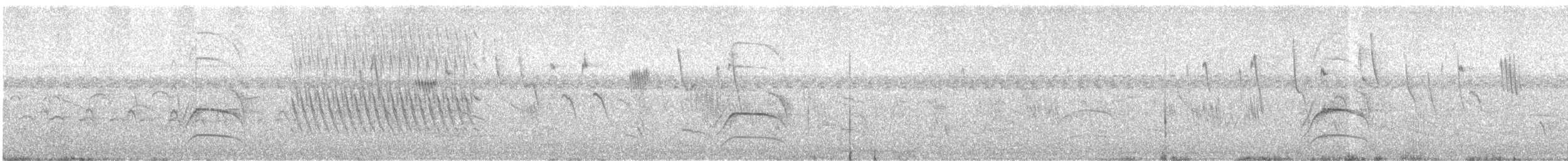 Unicolored Blackbird - ML647066063