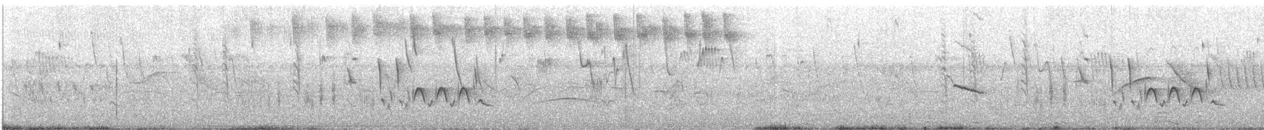 Gilded Hummingbird - ML647066065