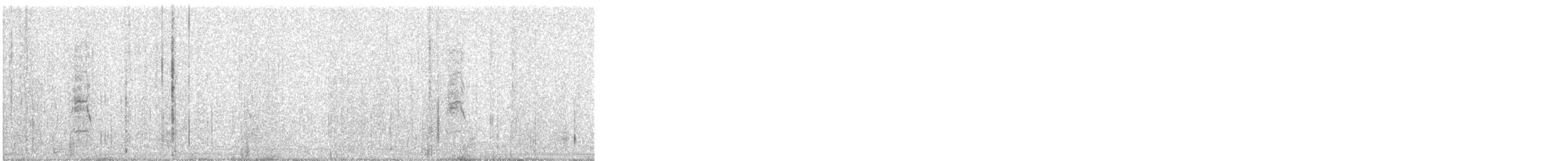 Saunders's Gull - ML647066751