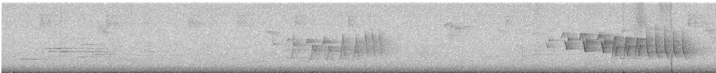 Northern Waterthrush - ML647067193