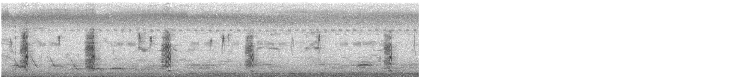 ハリオシギ - ML647067215