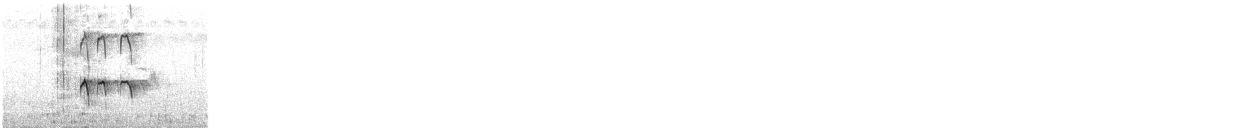 vodouš bahenní - ML647067225