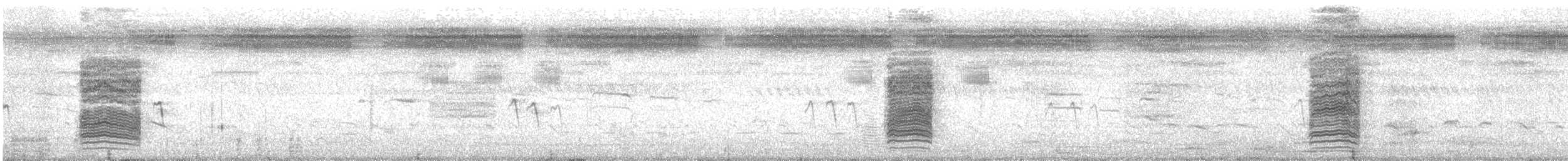 Clamorous Reed Warbler - ML647067263