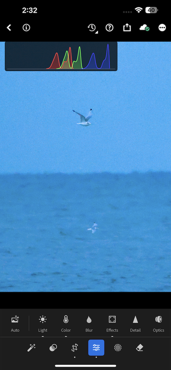 Моевка - ML647067797