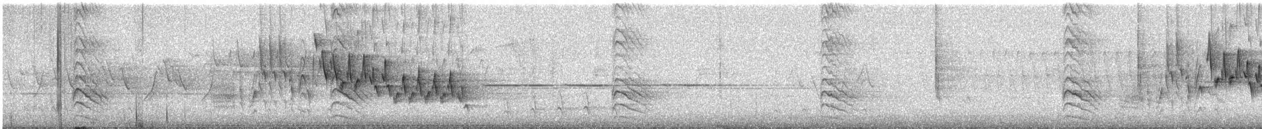 Chochín Criollo Norteño - ML647067838