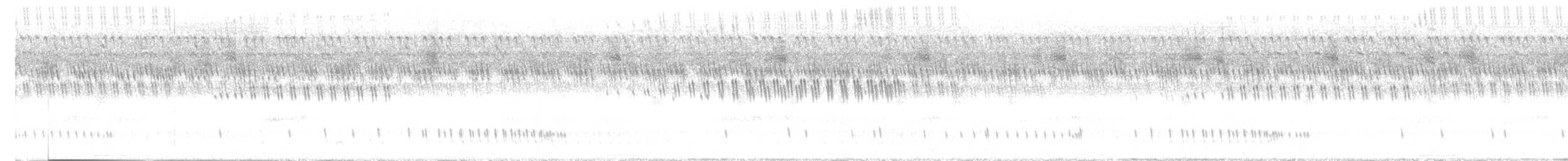 Chotacabras Hindú - ML647068377