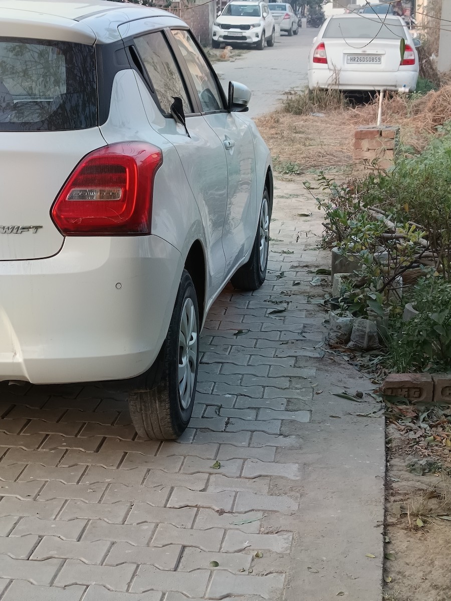 Oriental Magpie-Robin - ML647069085
