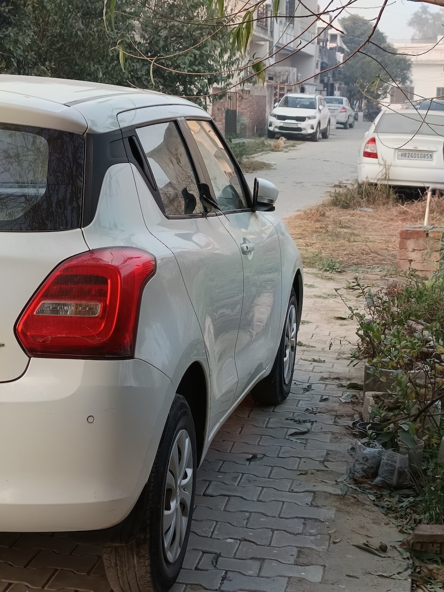 Oriental Magpie-Robin - ML647069087