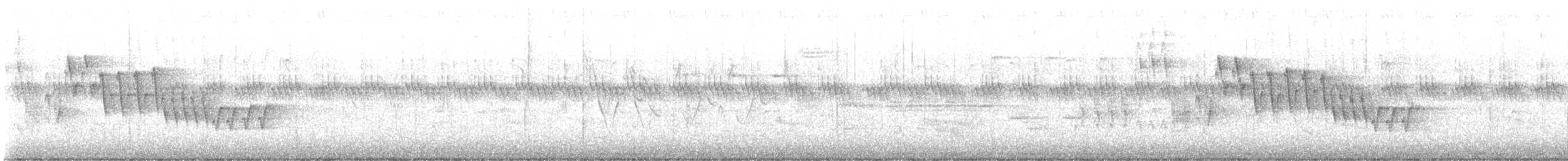 Chochín Criollo Norteño - ML647069647