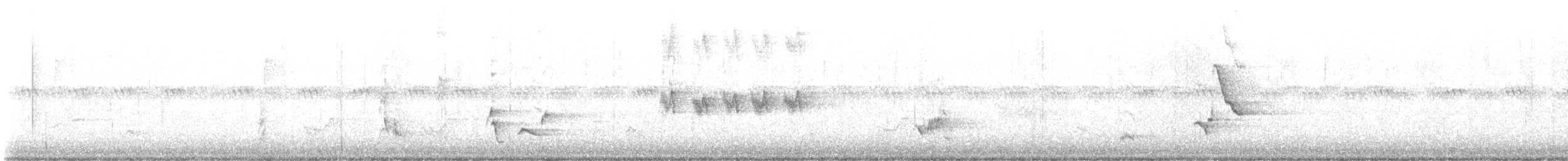 Miaulari grisa - ML647069651