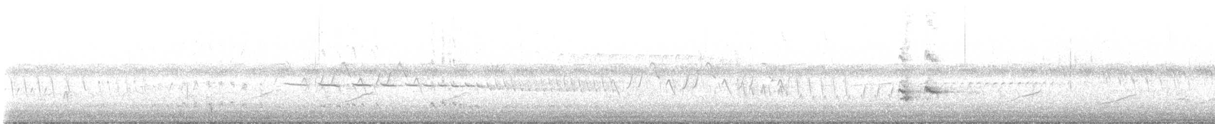 Field Sparrow - ML647069666