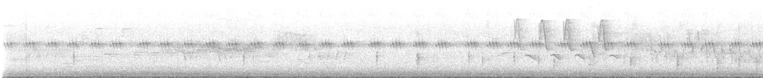 Purpurgrackel - ML647069671