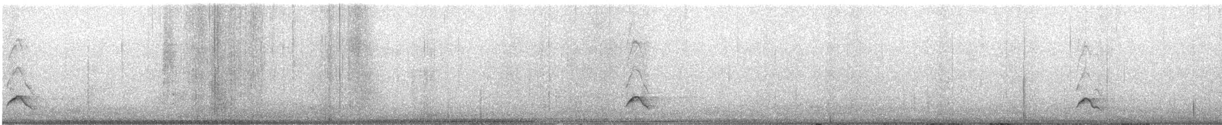 Ocellated Thrasher - ML647069915