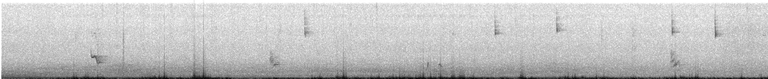 Ocellated Thrasher - ML647069916