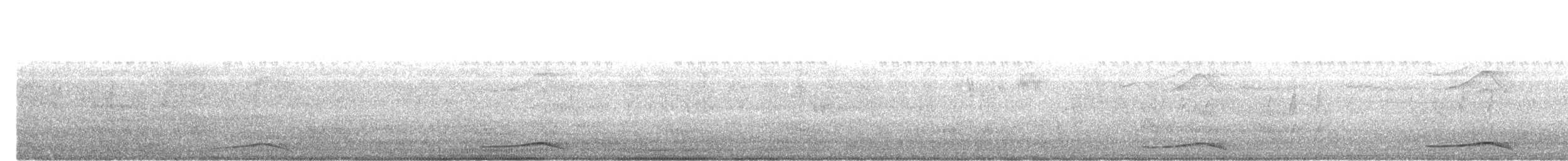 Asian Koel - ML647070076