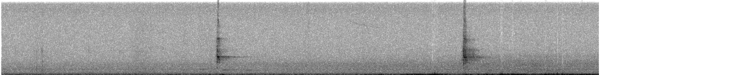 Syrian Woodpecker - ML647070135