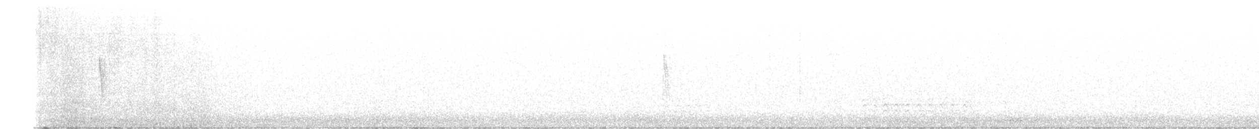 Yellow-throated Warbler (albilora) - ML647070382