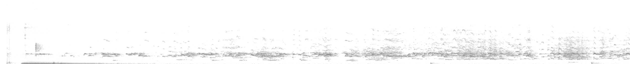 Greater White-fronted Goose - ML647070394