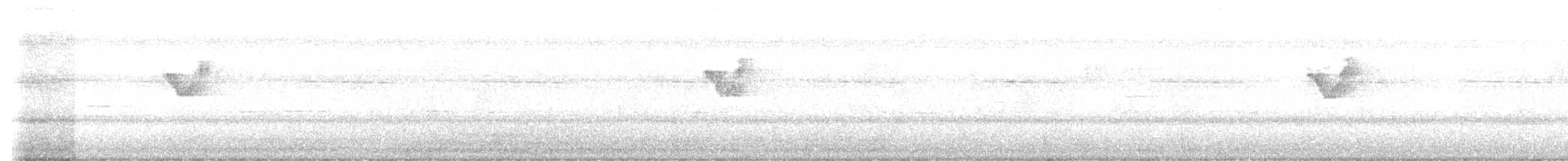 budníček pruhohlavý - ML647070431