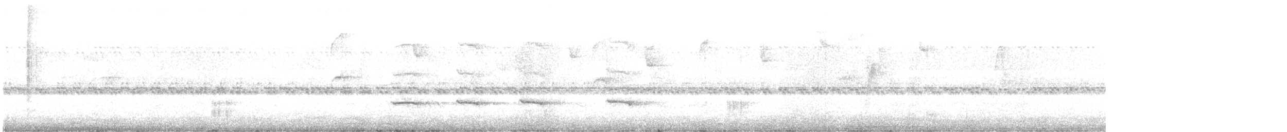 White-browed Woodpecker - ML647070467