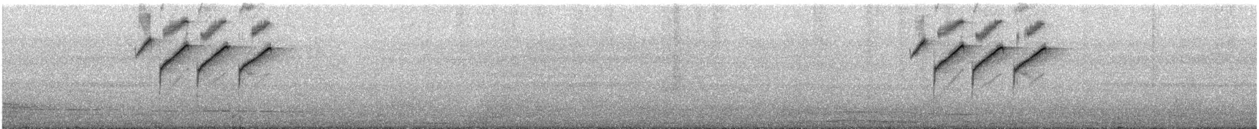 Southern Cordonbleu - ML647070523