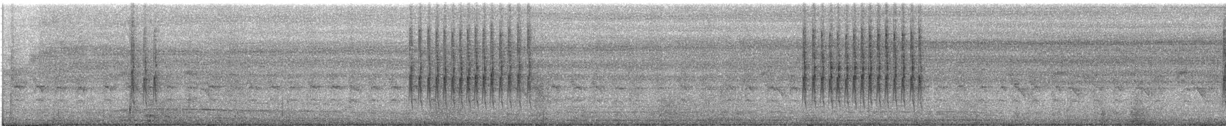 Southern Cordonbleu - ML647070524