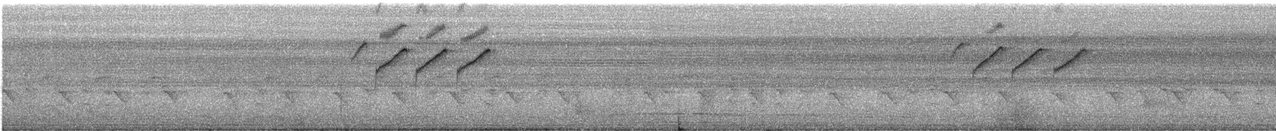 Southern Cordonbleu - ML647070525