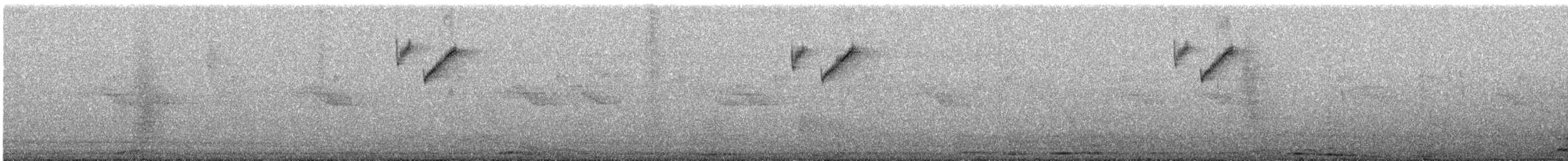 Southern Cordonbleu - ML647070526