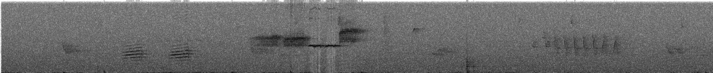 Black-throated Green Warbler - ML647070529